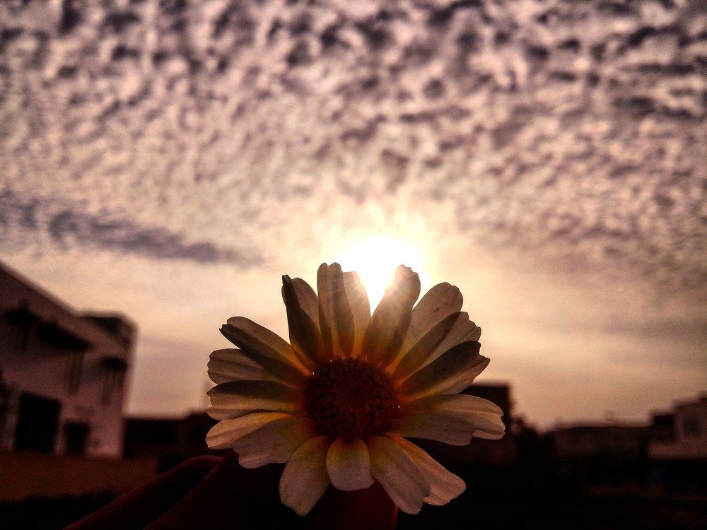 Photograph by Umar Arshad