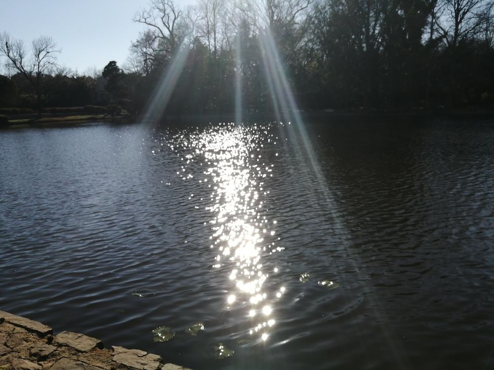 Photo #5716003