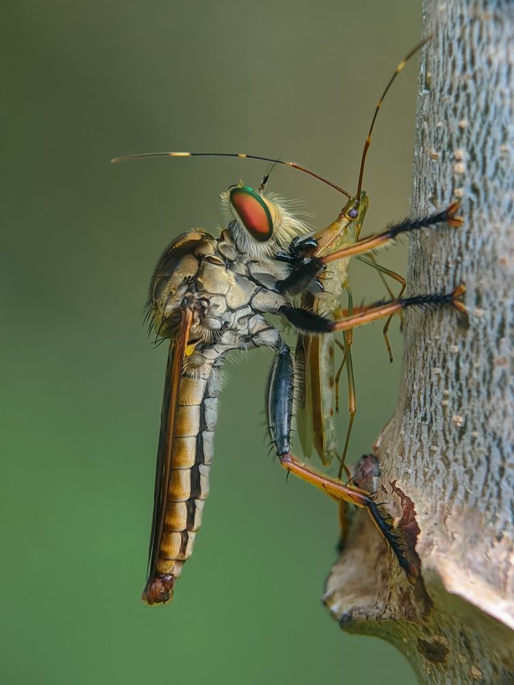 Photograph by Hendry