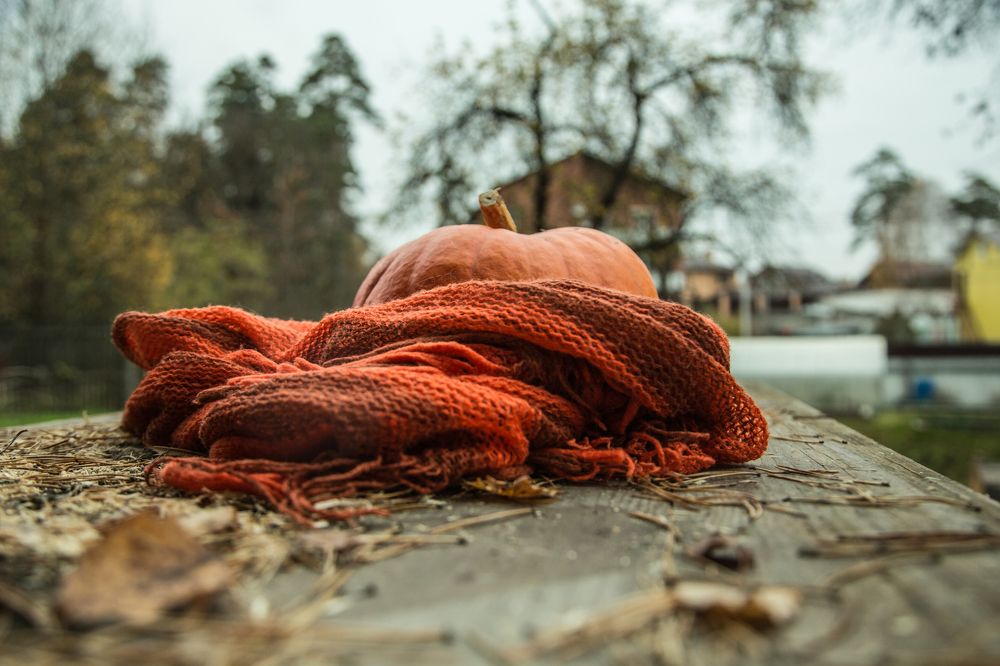 Photograph by Львова Люси
