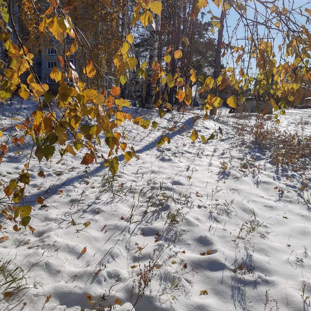 Photograph by Евгений Денисов