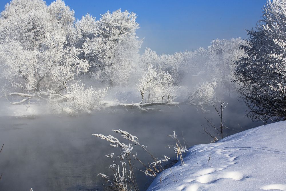 Photograph by Tatiana