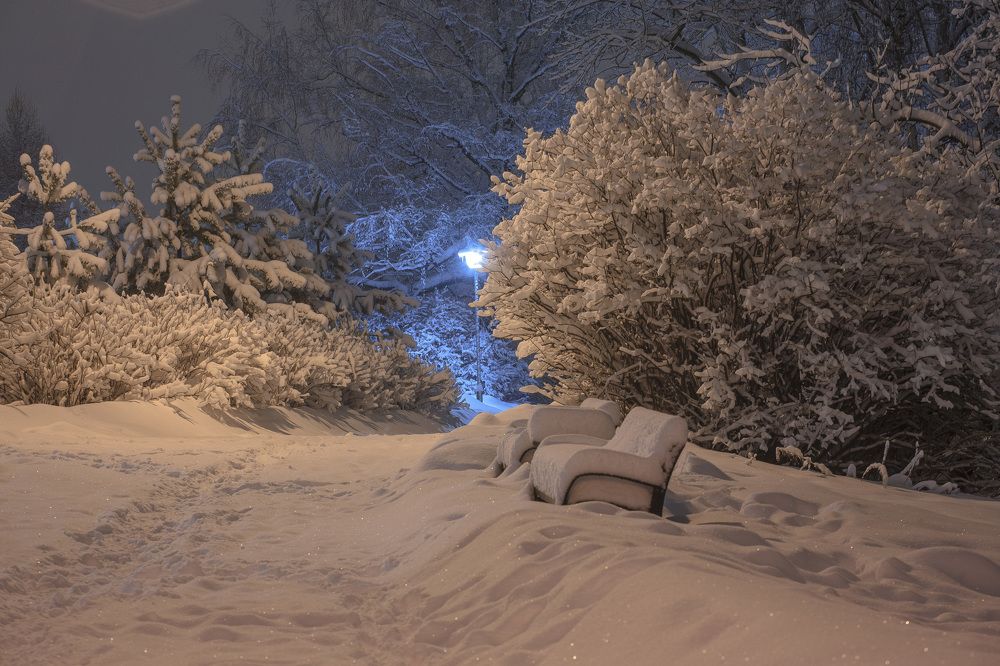 Photograph by Tatiana