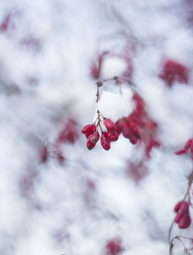 Photograph by Валентина Кананина