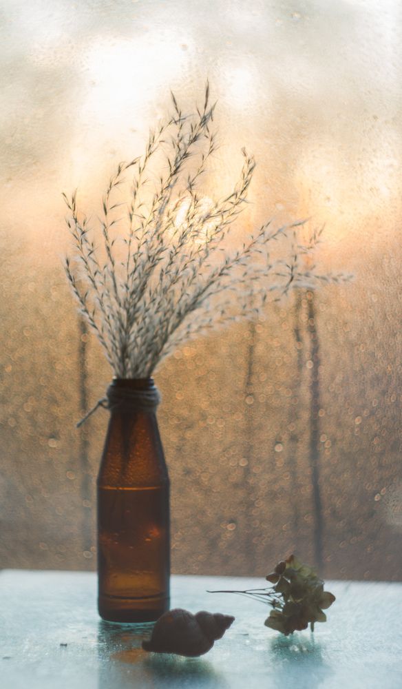 Photograph by Валентина Кананина