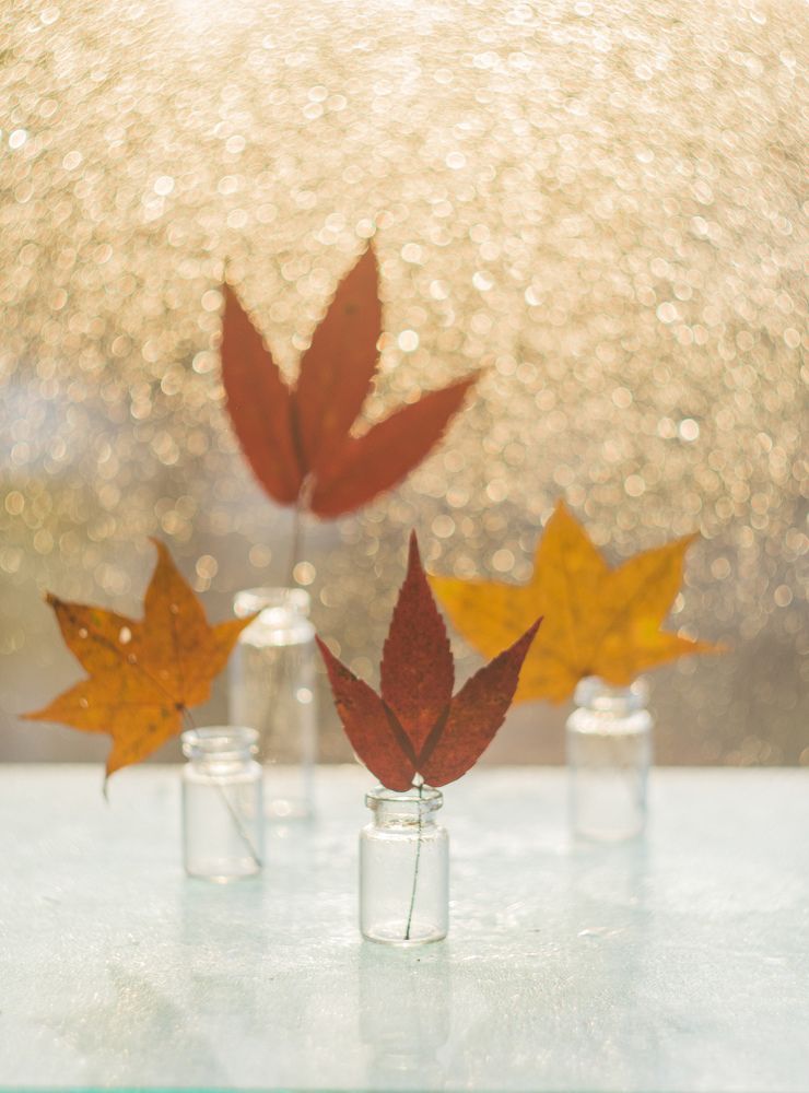 Photograph by Валентина Кананина