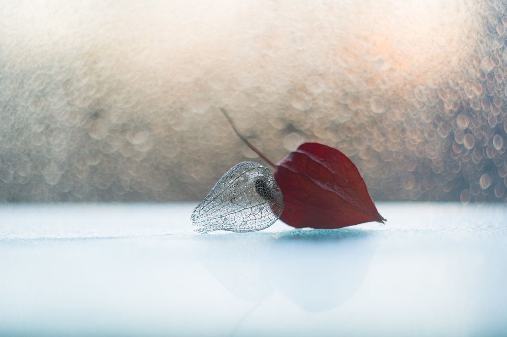 Photograph by Валентина Кананина