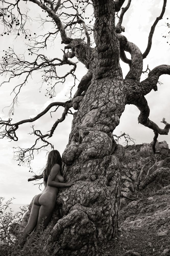 Красавица и чудовище