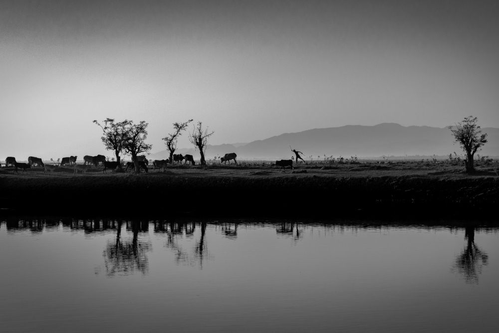 Photograph by Sk Iftekhar Ahsan