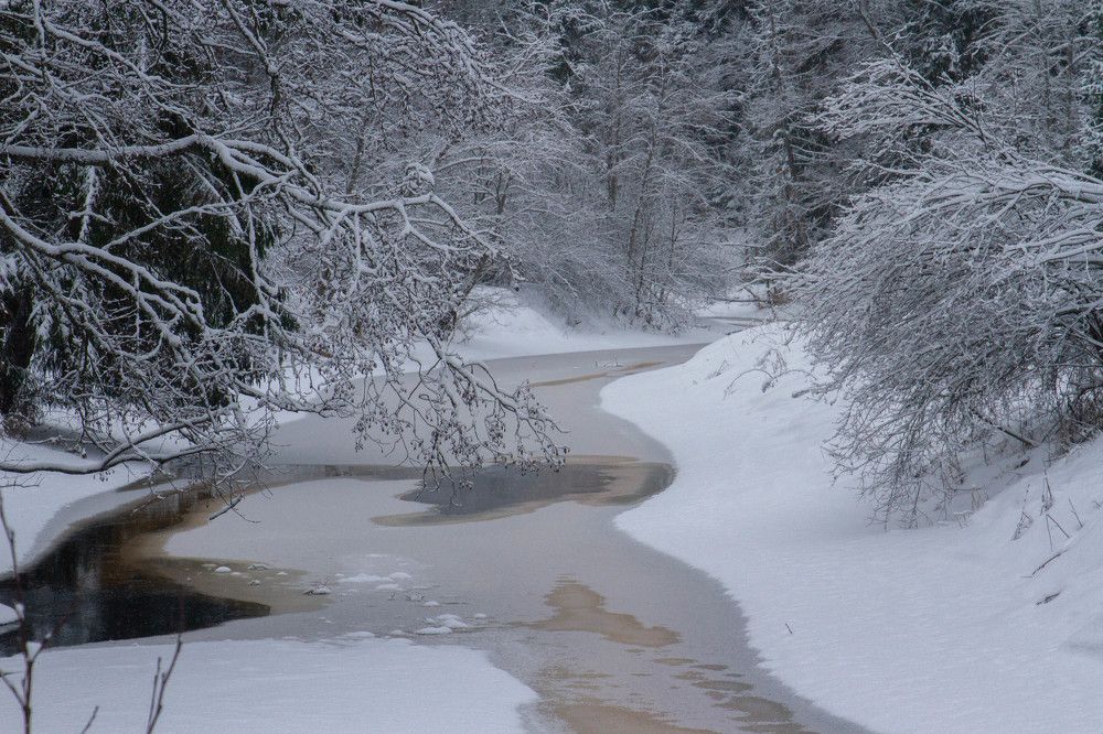 Photograph by Nadezhda Bakina