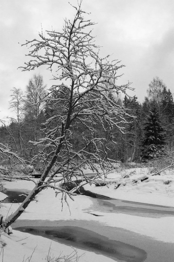 Photograph by Nadezhda Bakina