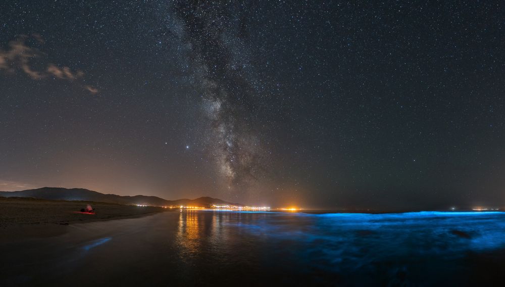 The Light of the Madness