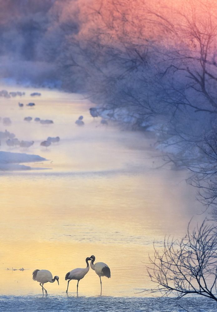 Photograph by suk eun kim