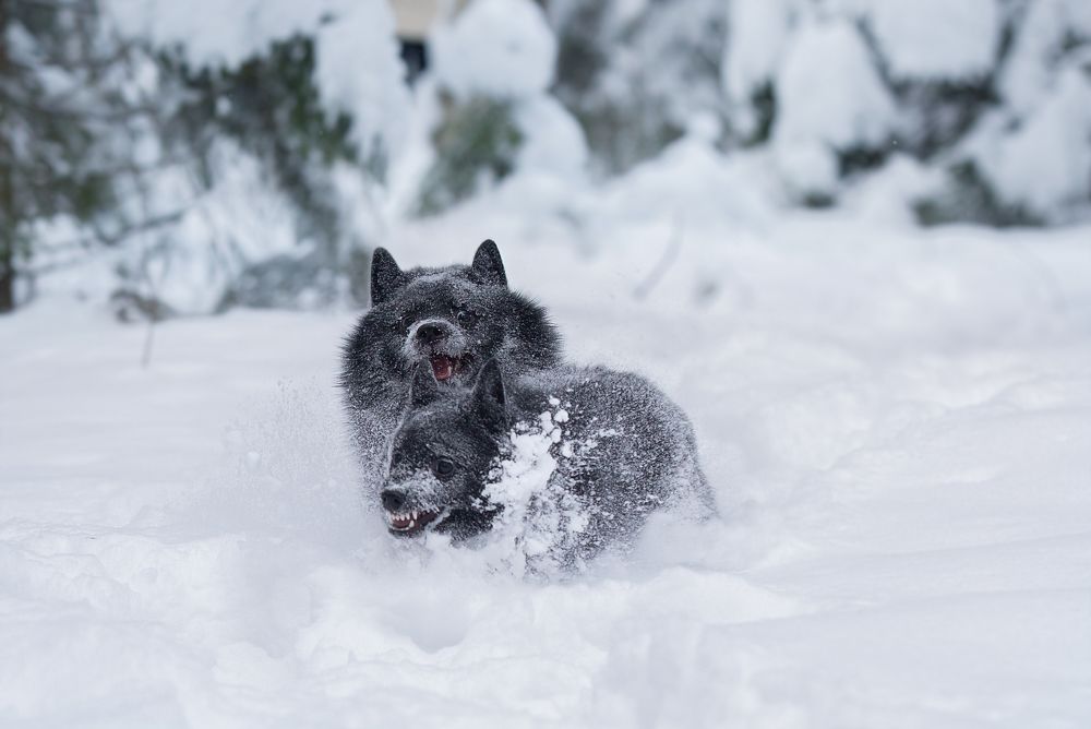 Photograph by Anna Oris