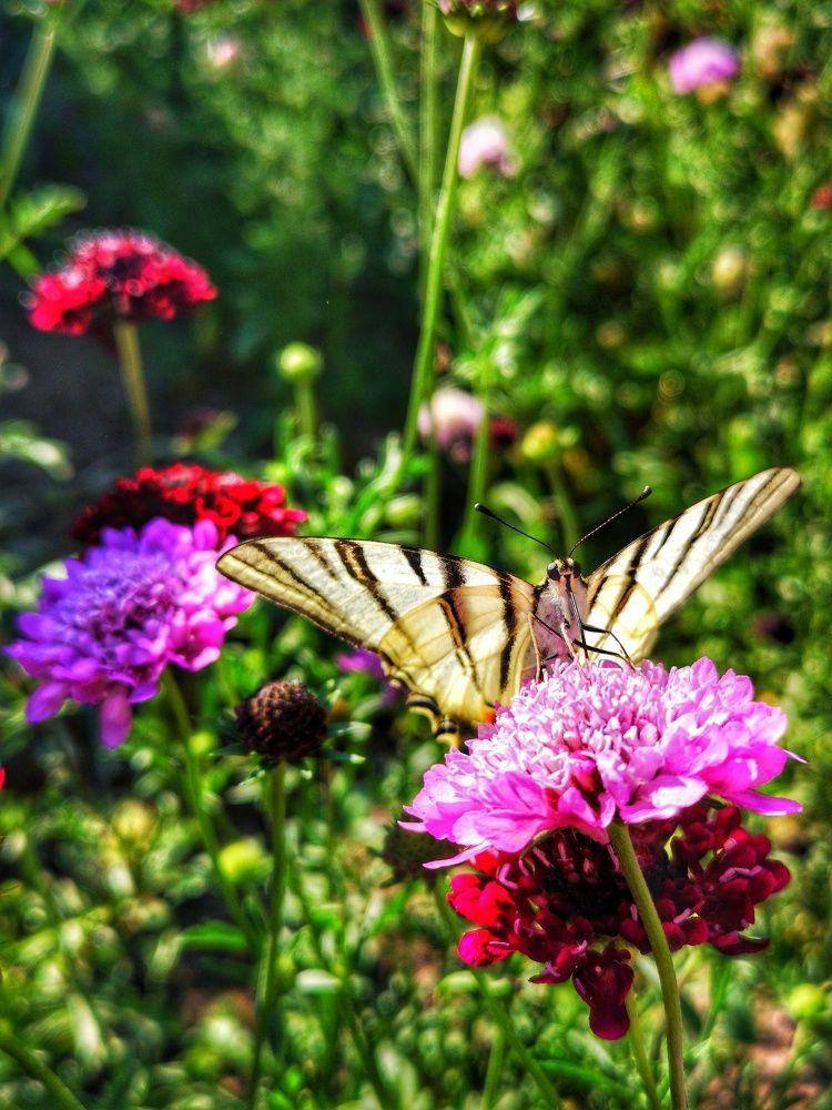 Photograph by Валерий