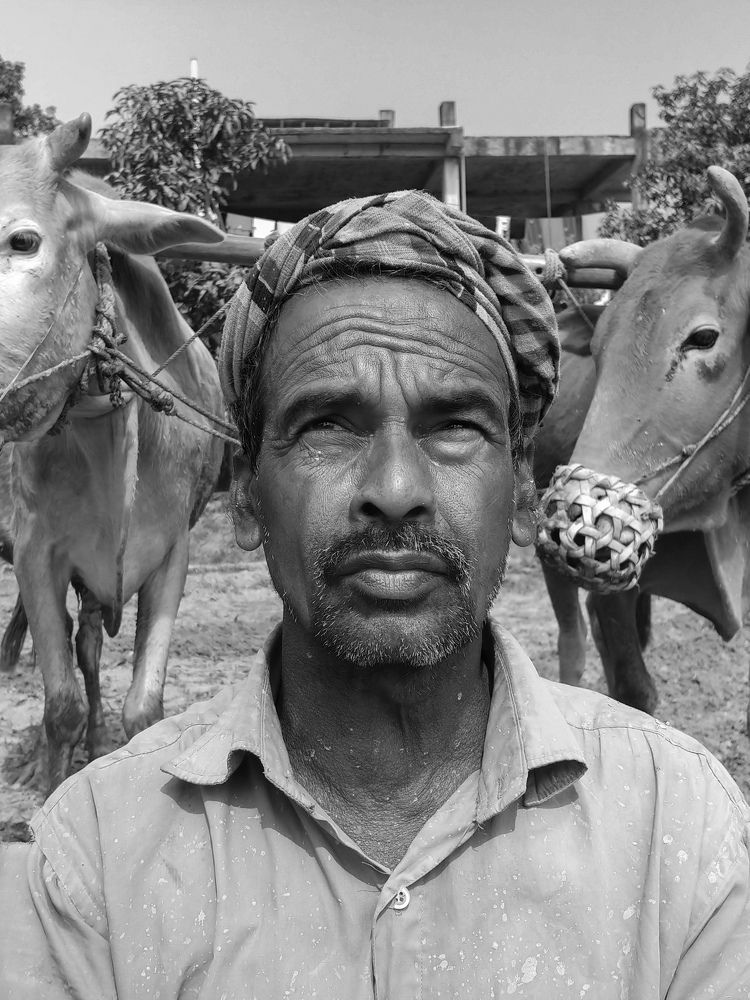 Photograph by Md Abu Sayeed Mondal