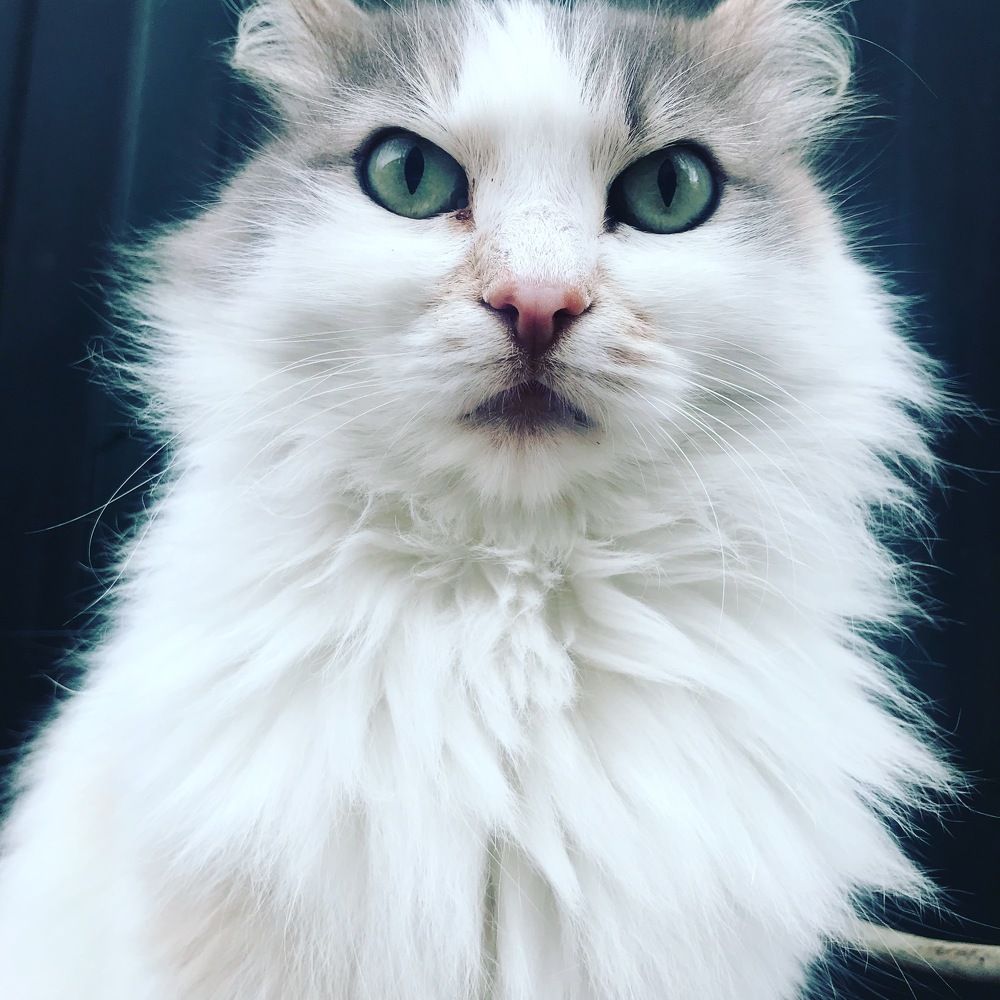 Photograph by Natalija Krucina