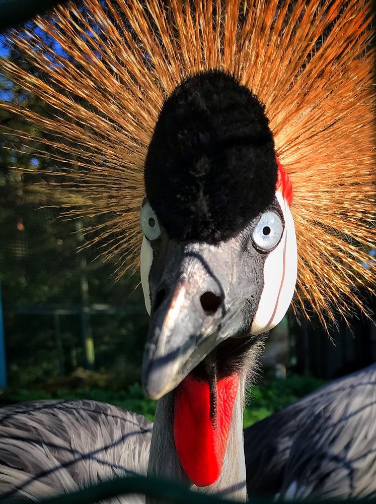 Photograph by Natalija Krucina