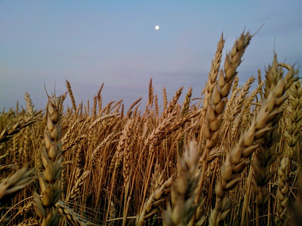 Photograph by Кайгородцев Артем