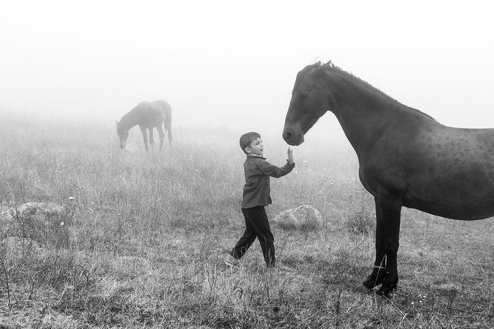 Фотография автора Iman Samady