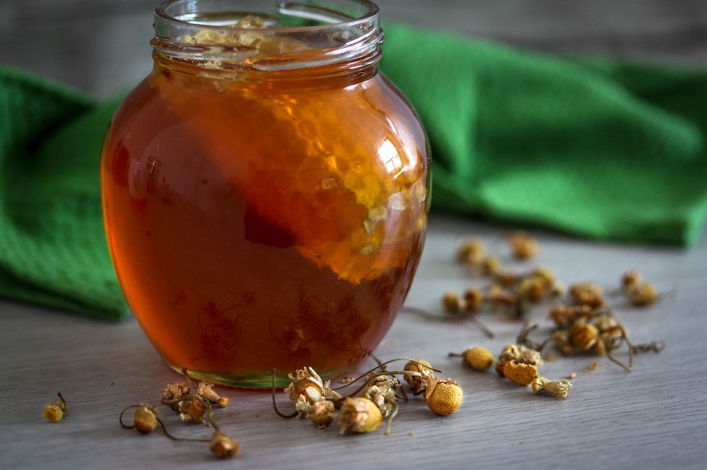 Photograph by Olga Vasina