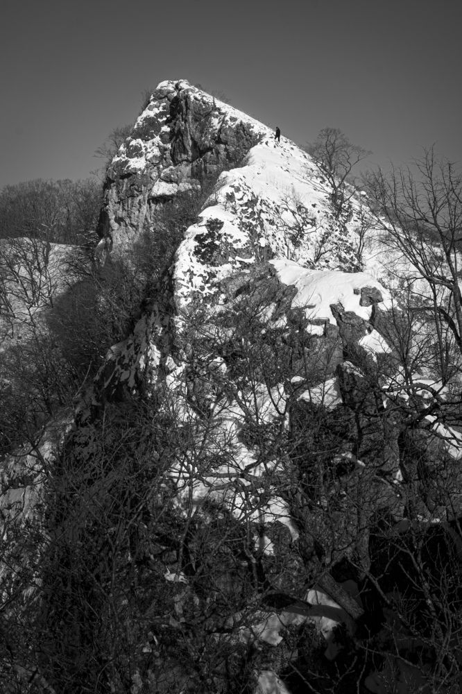 Photograph by Yulia Opanasyuk