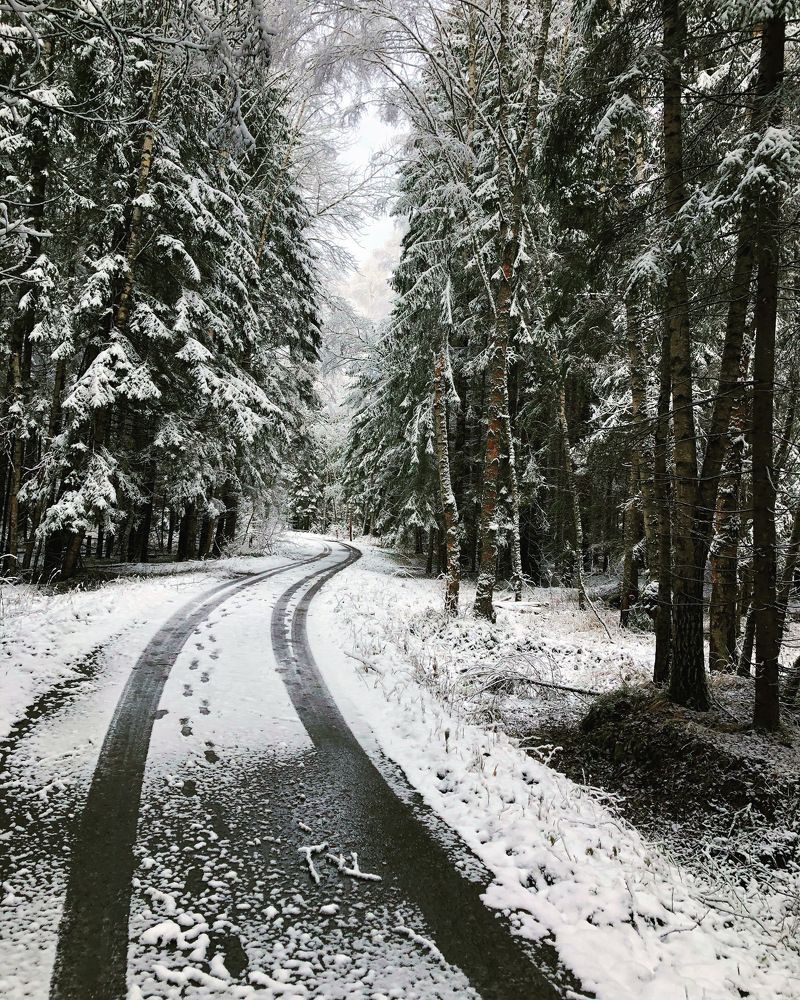 Фотография автора Зоя Малхова