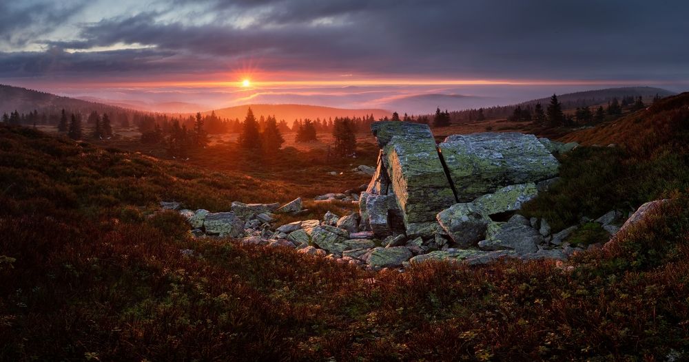 Photograph by Petr Fiala