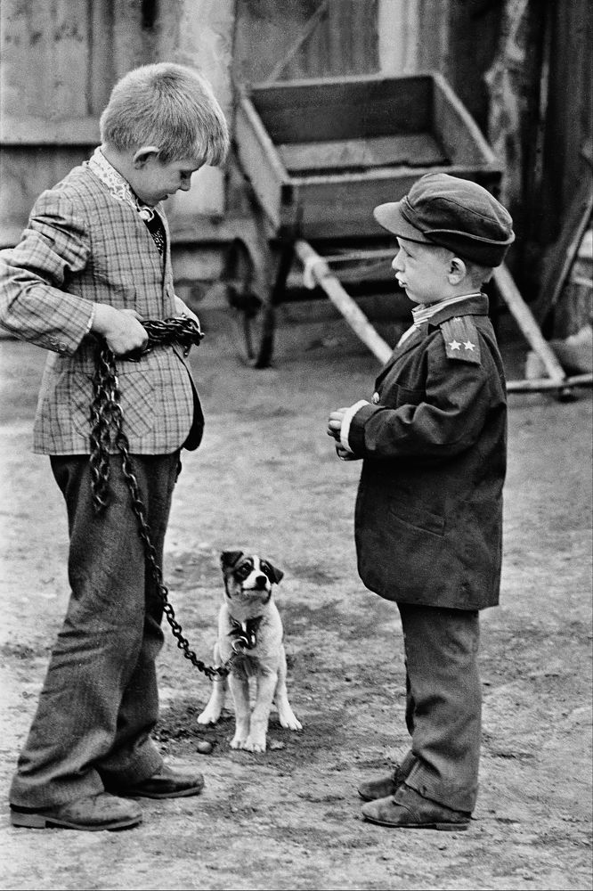 Photograph by Владимир Кудринский