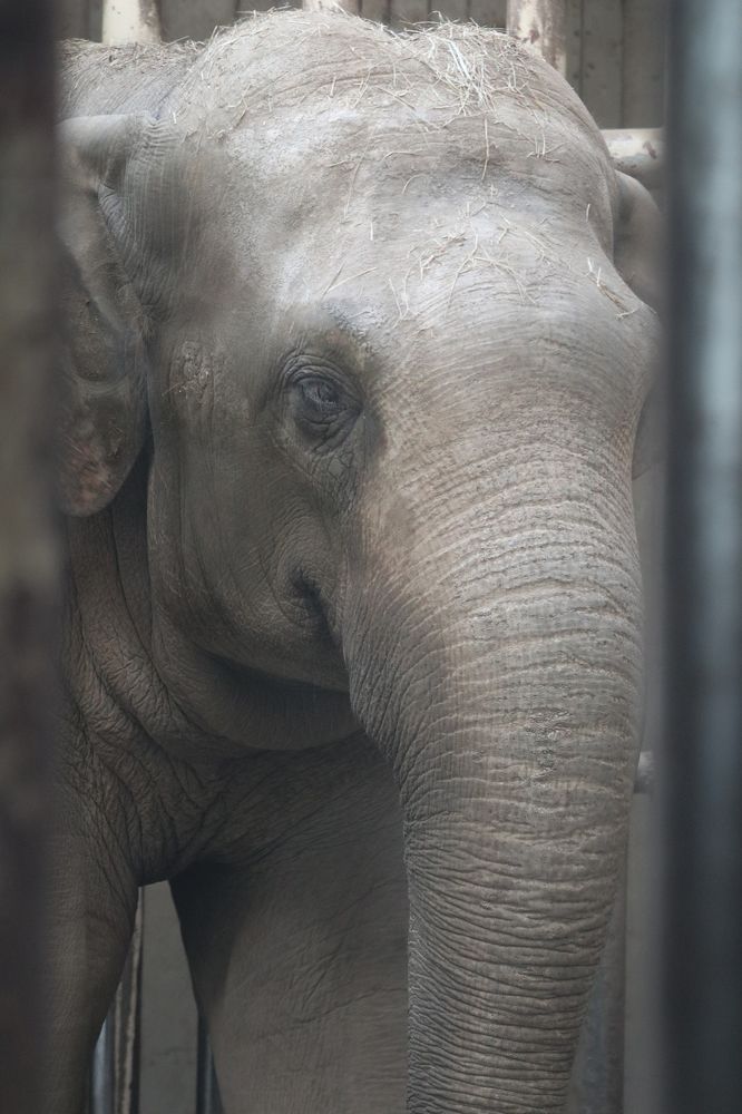 Photograph by Ольга Филимонова