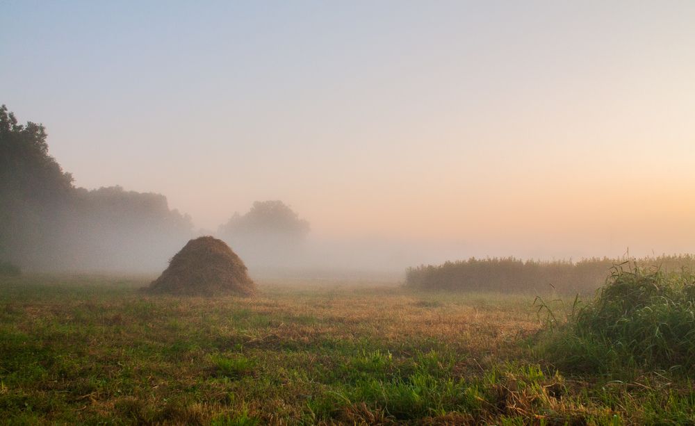 Photograph by Евгений Новицкий