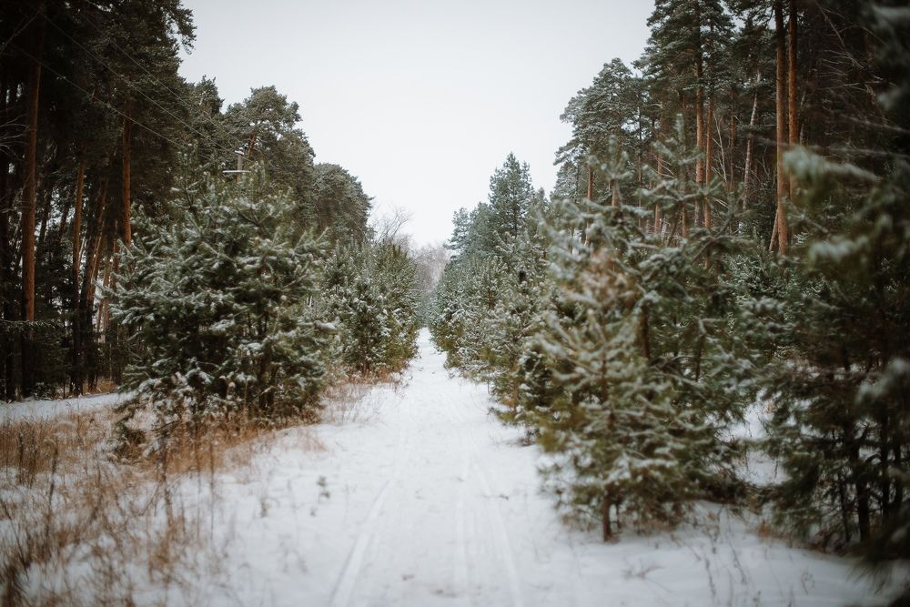 Photograph by Надежда Тенетко