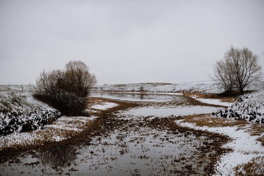 Photograph by Надежда Тенетко