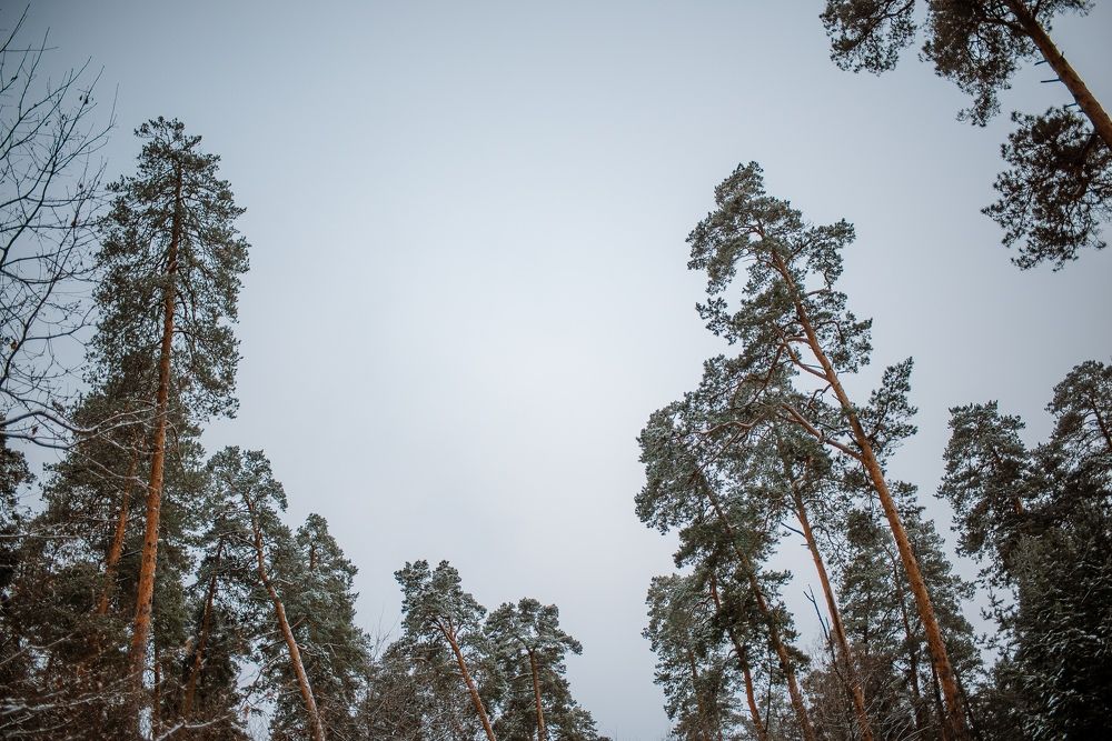 Photograph by Надежда Тенетко