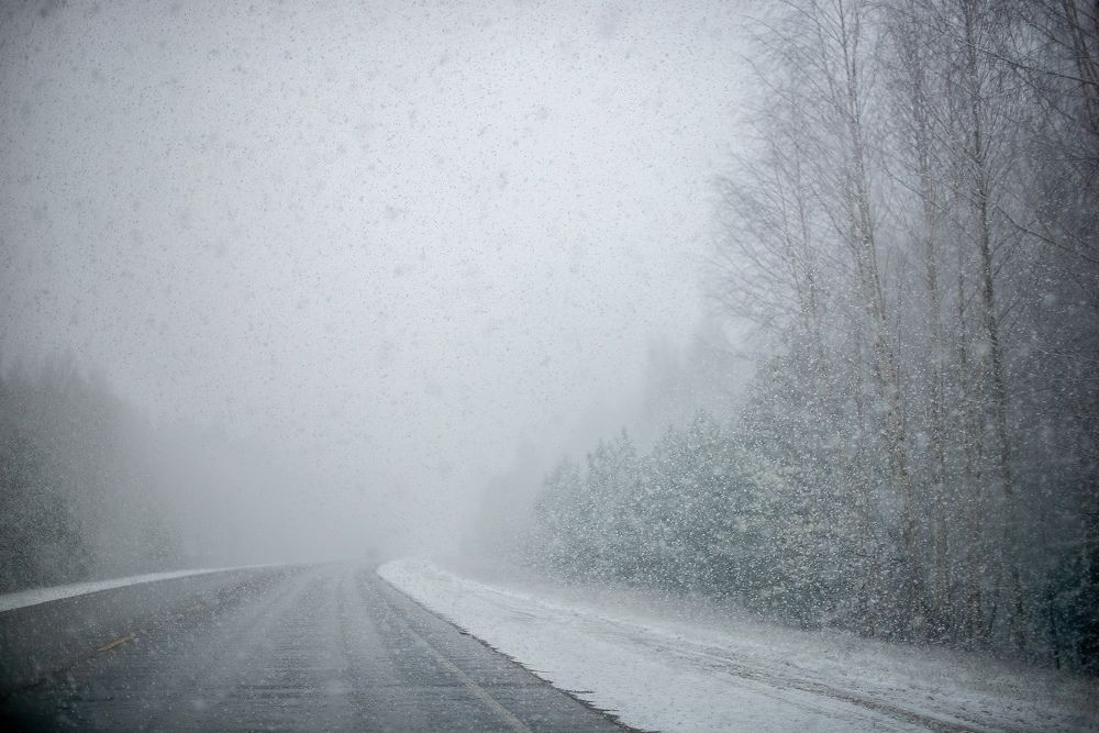 Photograph by Надежда Тенетко