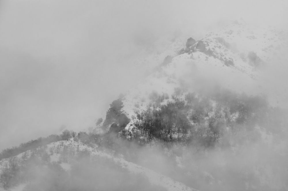 Photograph by Марат Наджибаев