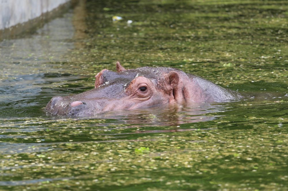 Photograph by Ольга Филимонова