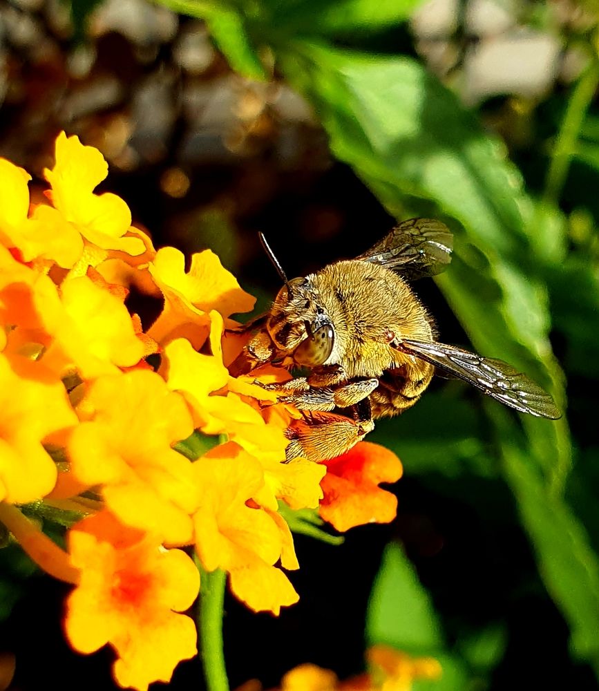 Photograph by Effie Zacharia