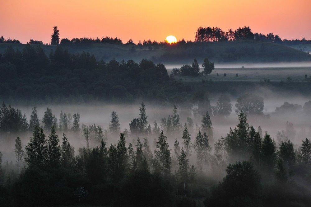 Photograph by Юрий Яковлев