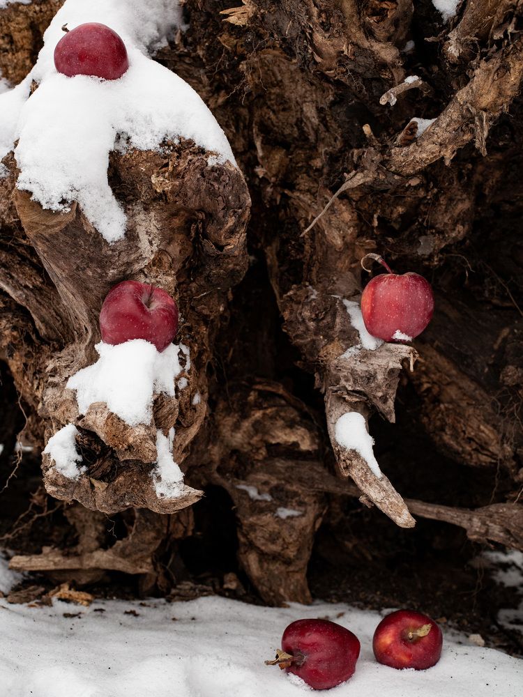 Photograph by Евгений Новицкий