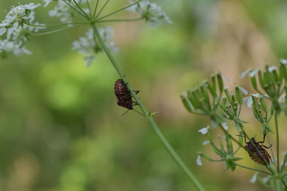 Photograph by Сергей Головин