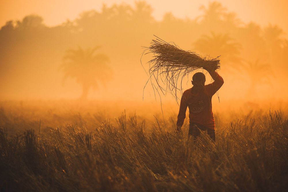 Photograph by kallyan kundu