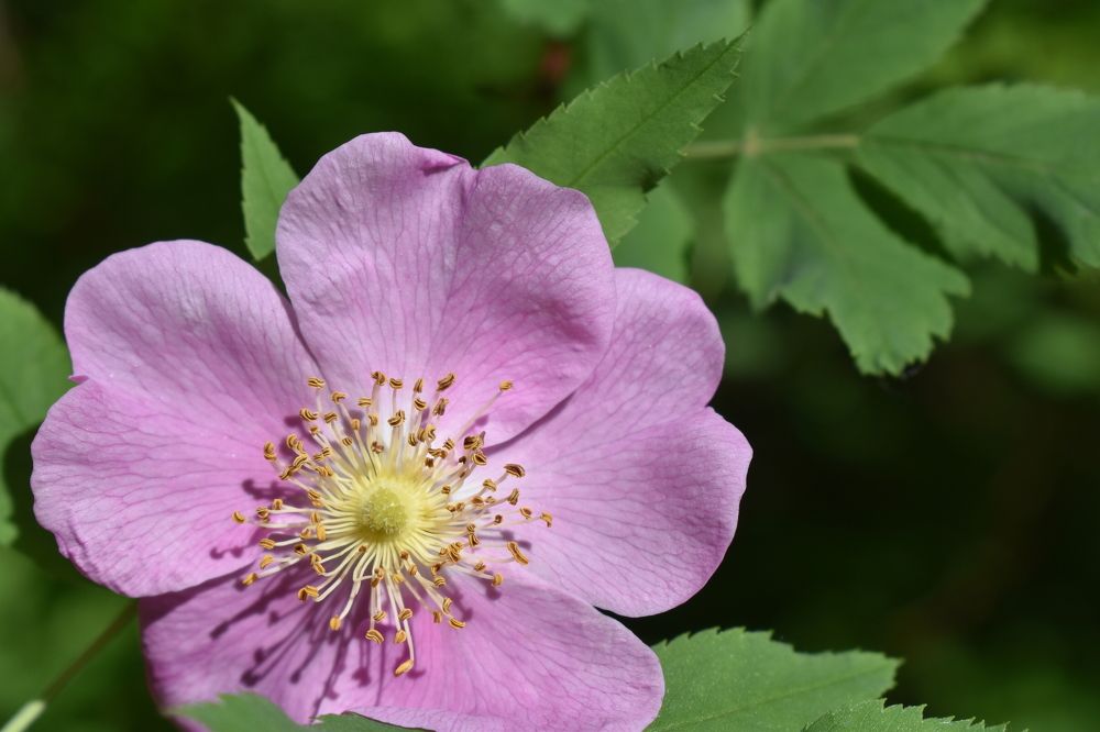 Photograph by Сергей Головин