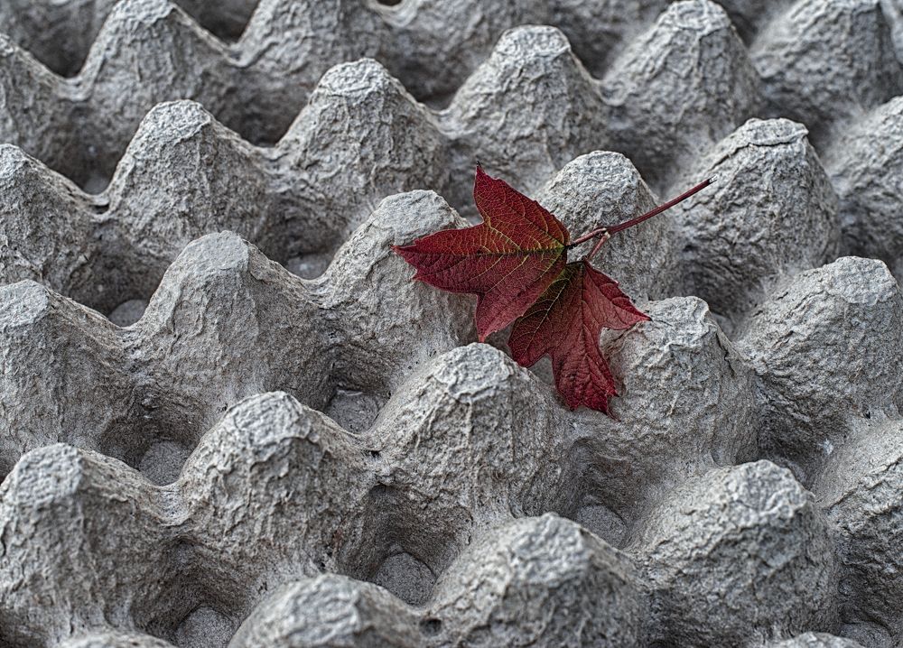 Photograph by Валентин Завьялов