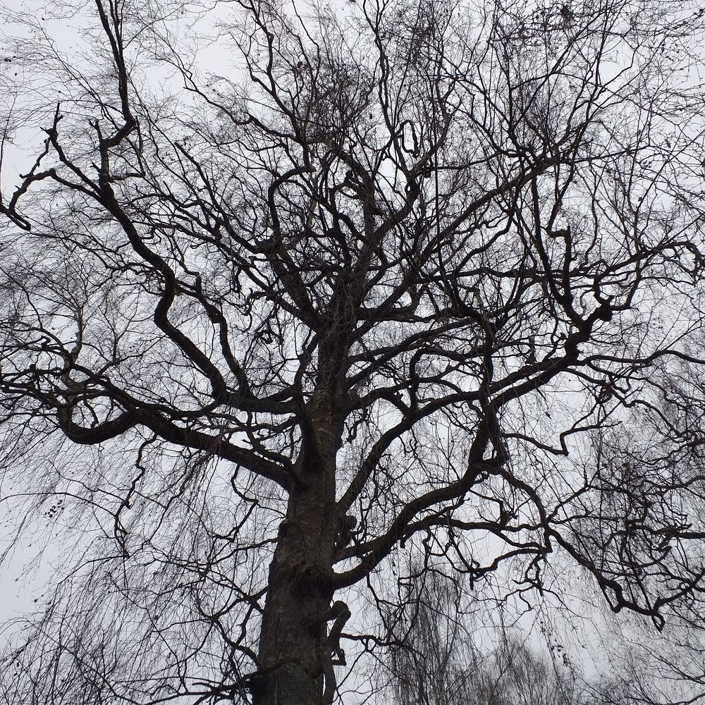 Photograph by Александр Кириков