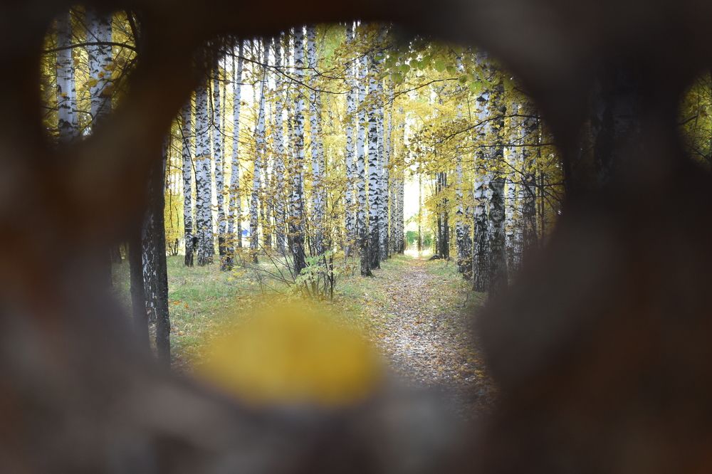 Photograph by Сергей Головин