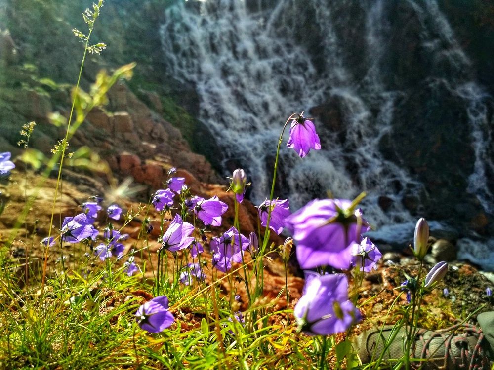 Photograph by Илья Крутихин