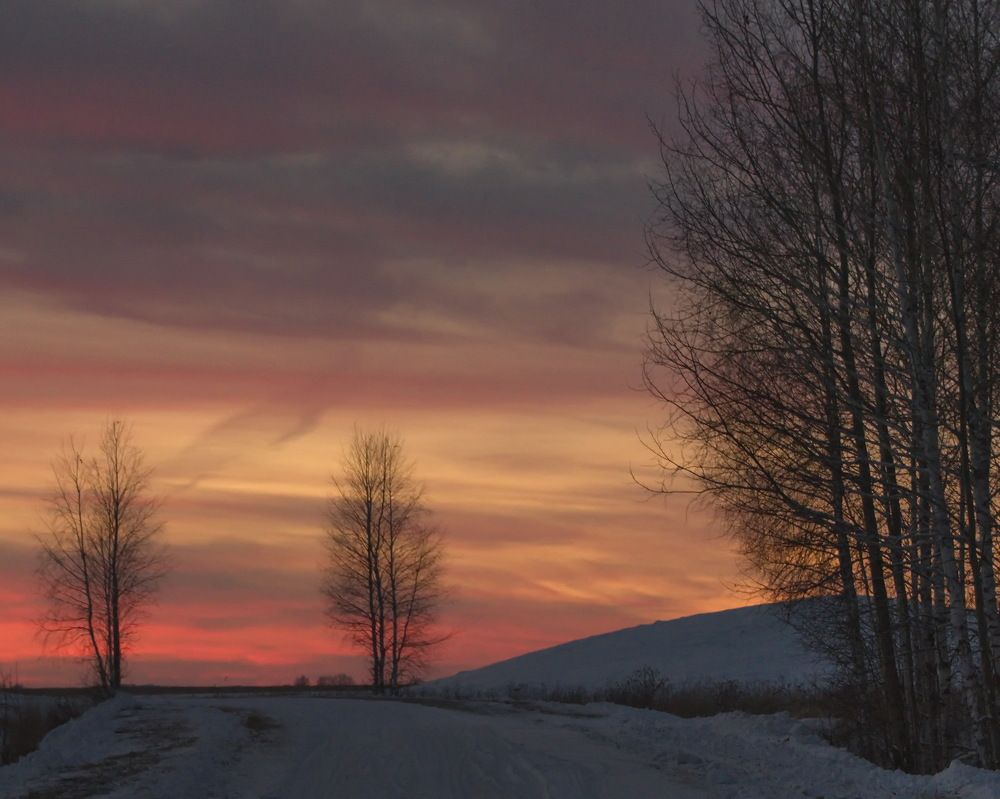 Photograph by Алексей Куренков