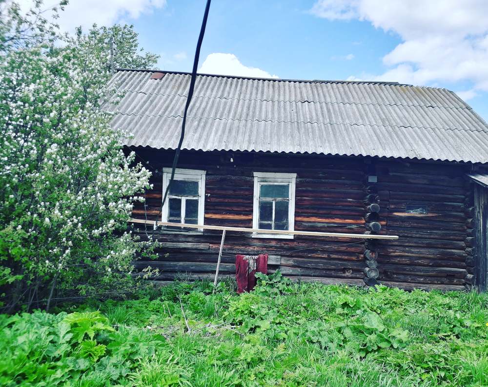 Photograph by Полина Денисова