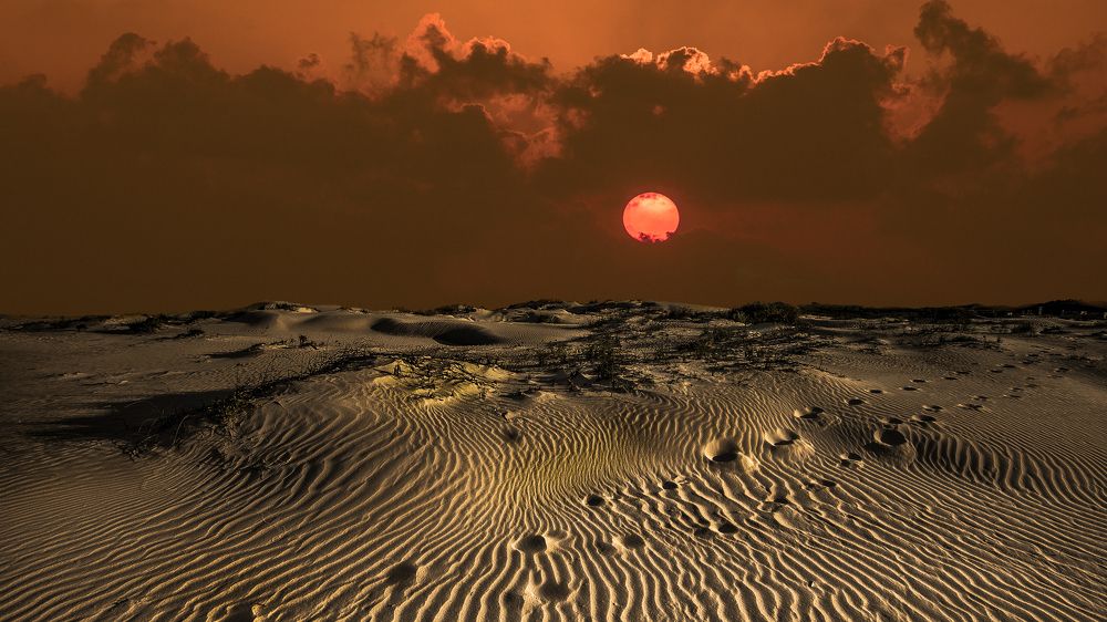 Photograph by Leonid Lan